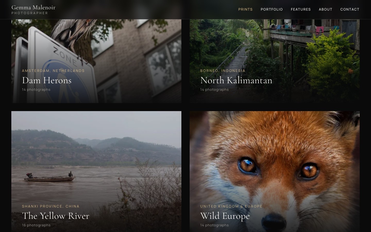 Gemma Malenoir print collections — Dam Herons, North Kalimantan, The Yellow River and Wild Europe shown as full-bleed cards