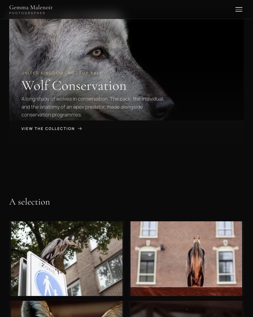 Gemma Malenoir portfolio — the Wolf Conservation frame above a selection of documentary photographs